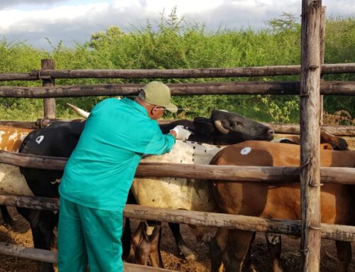 R100 miljoen vir BEK-entstof in Wes-Kaap