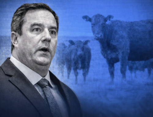 Minister Steenhuisen announces progress in foot and mouth disease vaccination strategy