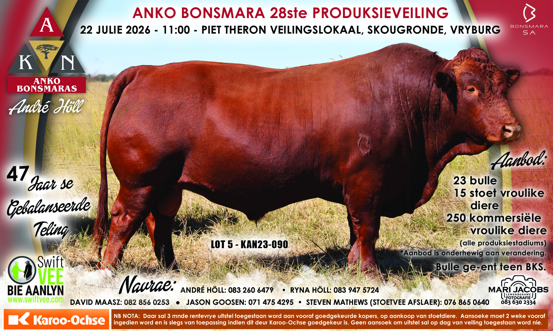 ANKO 9 x 15 Stellalander 2026