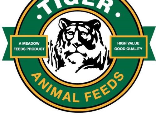 Tiger Animal Feeds celebrates 30 years of nourishing Zambia’s future