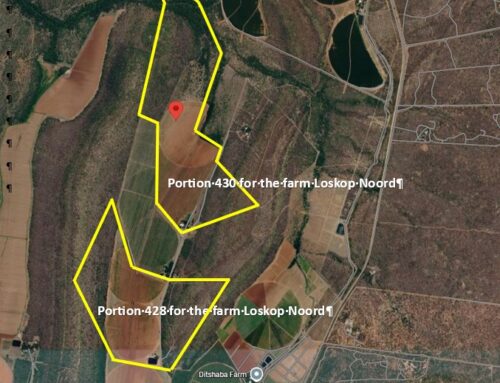 Venditor Auctioneers: Online auction in Marble Hall, Limpopo