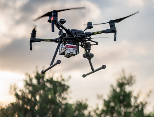 The importance and benefits of using drones in macadamia orchards