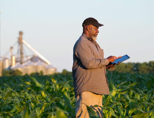 Rewriting smallholder finance: How AI is changing the game