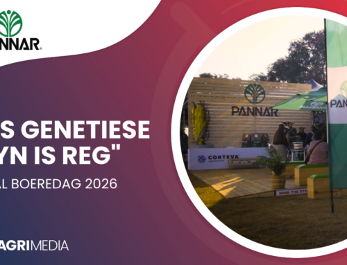 VIDEO: PANNAR se genetiese lyn is reg vir boere