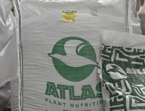 Living soil results in healthy crops