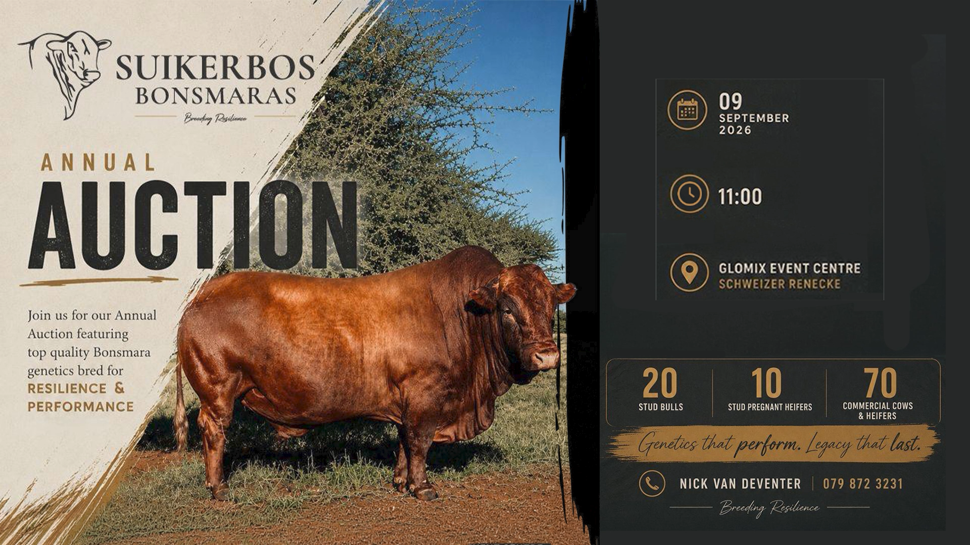 Hatari Pre Auction Video V1.1_HQ.00_44_34_00.Still003