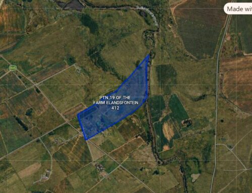 Farm life awaits on this 38-ha Heidelberg property going to auction