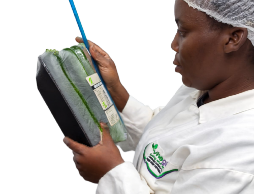 Sophy Litshani Musabeni: ‘When women work together in agriculture, communities become stronger and food systems become more resilient’