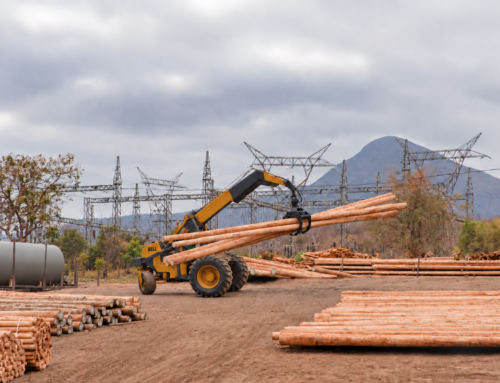 Low’s Creek Treated Timber: Gehalte pale waarop Afrika kan bou