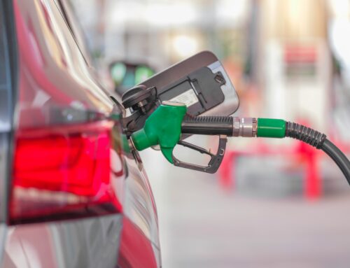 Biobrandstof bied ’n groeigeleentheid vir Suid-Afrika se landbou- en energiebedryf