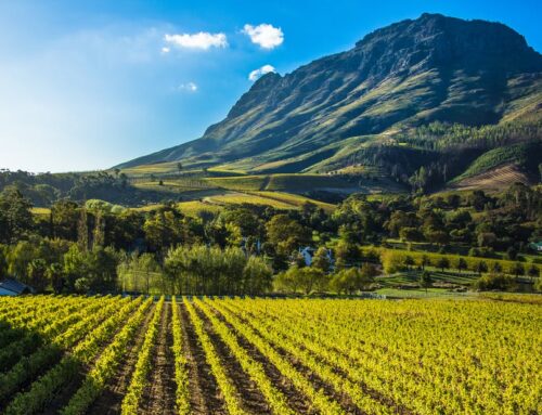 Agbiz welcomes the 2026 Medium-Term Budget Policy Statement