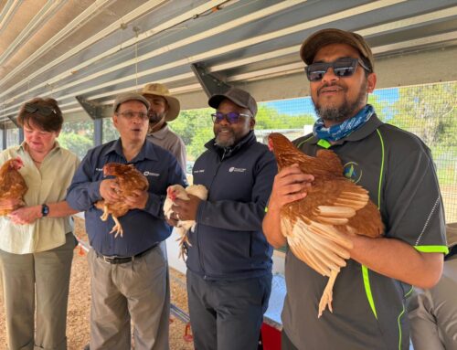 World Food Day 2026: Western Cape growing food security, skills and sustainable livelihoods