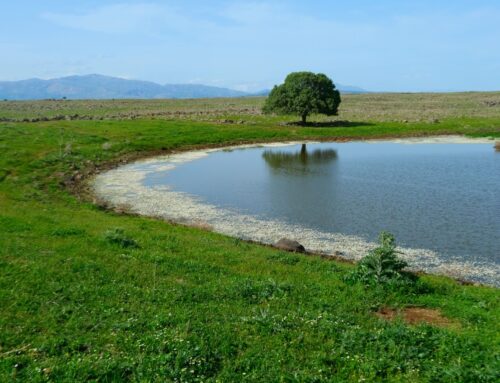 Why HDPE Geomembranes are the best choice for your farm dam