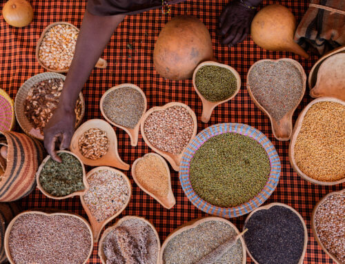 Spice Farming in Kenya: Small crops with big opportunities